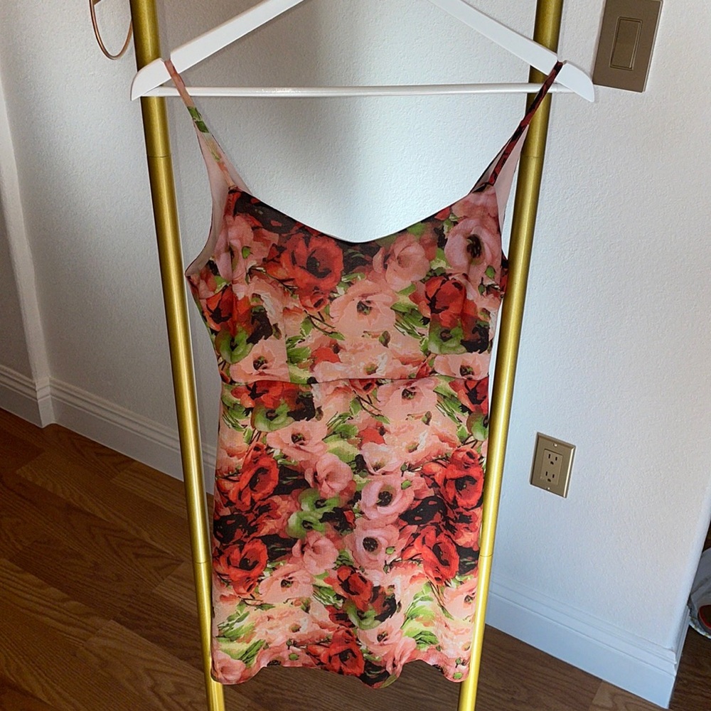 Pink red green Floral rose BB DAKOTA dress with low back